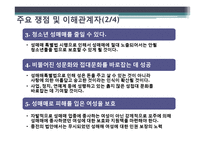 [정책학개론] 성매매 특별법-6