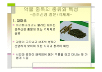 [정신건강론] 약물 중독 종류와 특성, 약물중독의 진단(DSM-IV) 및 치료-16
