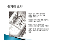 카프카의 `변신`과 존엄사-3