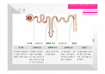 [동물생리학] 이뇨작용과 커피와의 관계-4