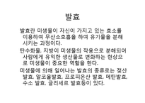 생활 속의 미생물-청국장-7