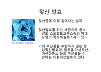 생활 속의 미생물-청국장-8