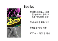 생활 속의 미생물-청국장-11