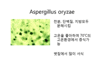 생활 속의 미생물-청국장-12