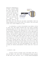 [생명공학과 과학] NA1을 이용한 수소생산과 사업화-6