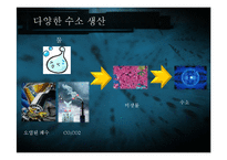 [생명공학과 과학] NA1을 이용한 수소생산과 사업화-9