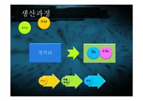 [생명공학과 과학] NA1을 이용한 수소생산과 사업화-15