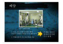 [생명공학과 과학] NA1을 이용한 수소생산과 사업화-16