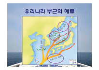 [교육학] 고등학교 2학년 순환학습 수업모형을 적용한 학습 지도안-(3)해류의 분포-17