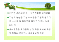 [유아교육] 생태유아교육 프로그램-4