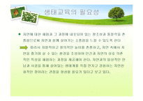 [유아교육] 생태유아교육 프로그램-10