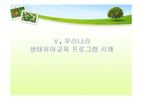 [유아교육] 생태유아교육 프로그램-13