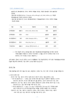 [영어] 영어 구조의 기본 틀 - 작문의 시작-3