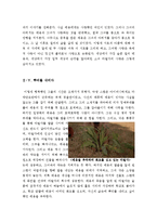 레옹영화감상문[레옹감상문][레옹의인물분석적감상문][영화레옹][레옹]-6