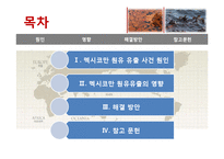 멕시코만 원유유출 분석-5