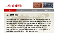 멕시코만 원유유출 분석-6