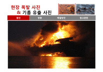 멕시코만 원유유출 분석-11