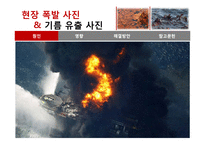 멕시코만 원유유출 분석-12