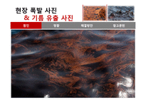 멕시코만 원유유출 분석-13
