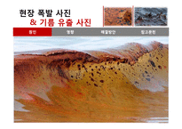 멕시코만 원유유출 분석-14