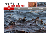 멕시코만 원유유출 분석-16