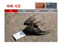멕시코만 원유유출 분석-17