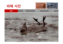 멕시코만 원유유출 분석-18