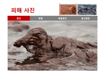 멕시코만 원유유출 분석-19