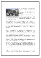 일본위안부에 대하여(정신대도포함)-7