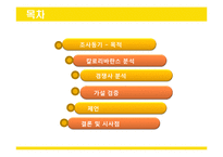 칼로리바란스 마케팅 전략 조사-2