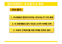칼로리바란스 마케팅 전략 조사-3