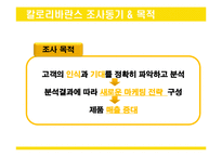 칼로리바란스 마케팅 전략 조사-4