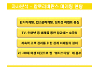 칼로리바란스 마케팅 전략 조사-12