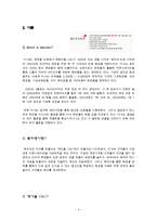 [마케팅원론] 저가형 화장품의 선두주자인 미샤의 성공적인 마케팅-4