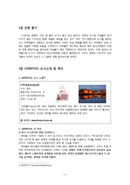 [장소마케팅] 영국의 문화 도시 재건, 리버풀-2
