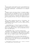 [국제경제관계론] 자원, 환경문제와 국제경제관계-9