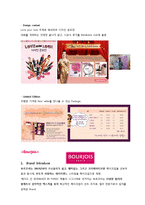 [촉진전략] 뷰티 브랜드 Benefit 베네피트 SWOT, IMC 전략-11