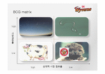 [마케팅원론] SK와이번스 마케팅 전략 분석-17