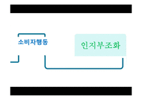 [소비자행동] 인지부조화 이론-1