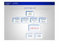 [인사관리] R&D연구소 인적자원관리 사례 조사-4