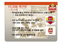 [스포츠경영] 스포츠산업의 서비스 품질 -FC서울 축구단 사례-7