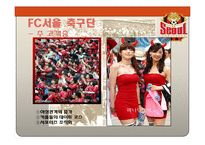 [스포츠경영] 스포츠산업의 서비스 품질 -FC서울 축구단 사례-8