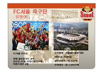 [스포츠경영] 스포츠산업의 서비스 품질 -FC서울 축구단 사례-10