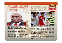 [스포츠경영] 스포츠산업의 서비스 품질 -FC서울 축구단 사례-12