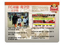 [스포츠경영] 스포츠산업의 서비스 품질 -FC서울 축구단 사례-14