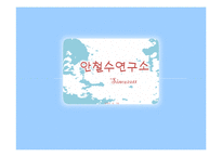 [인터넷과 경영] 안철수 연구소 성공전략-1