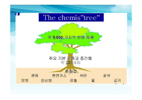 [환경경제학] 친환경 기업 BASF 바스프의 친환경 경영-20