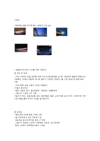 자전거 정책-한국과 네덜란드 비교 및, 한강 르네상스사업 분석-5