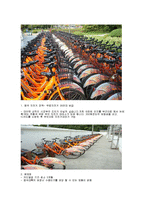자전거 정책-한국과 네덜란드 비교 및, 한강 르네상스사업 분석-8