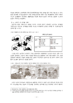 [학교복지] 학교 내 성차별 문제-3